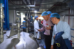 上海蜂花智能工廠投產，4億元投資驅動產業升級與互聯網銷售新布局